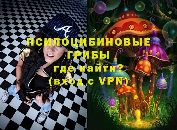 бутират Белокуриха